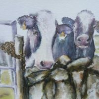 Frisian, cow, locked in. painting
