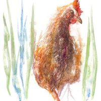 hen, chicken, painting, long grass, dinner.