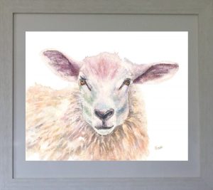 animal, sheep, painting, woolly.