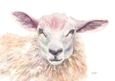 animal, sheep, painting, woolly.