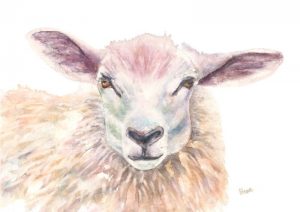 animal, sheep, painting, woolly.