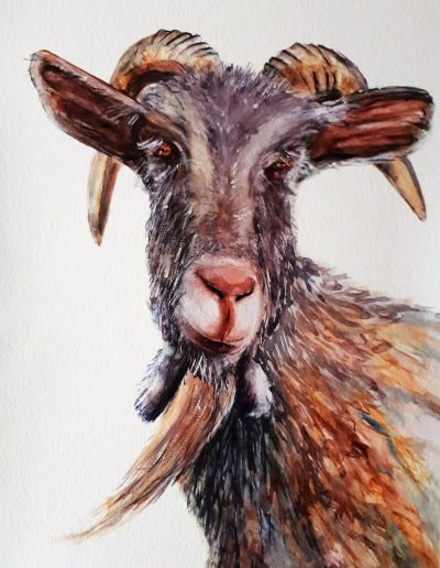 painting, goat.