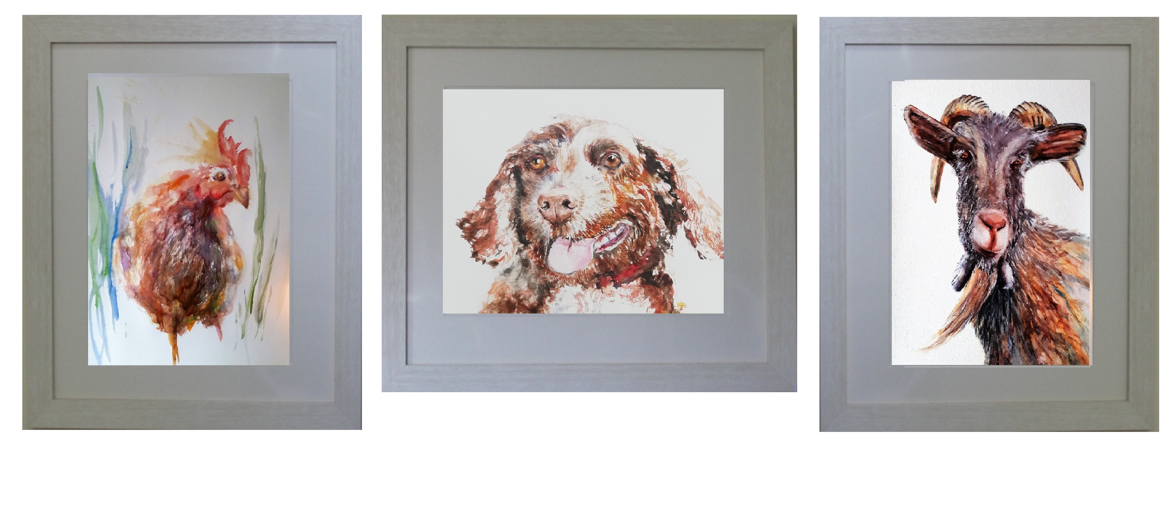 pet portrait goat dog chicken watercolor frame mount