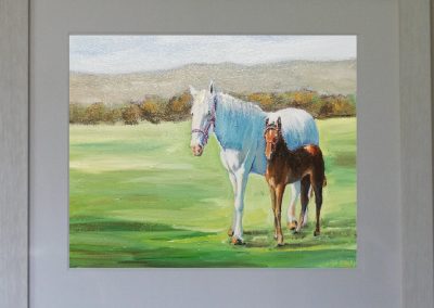 pet portrait mare foal