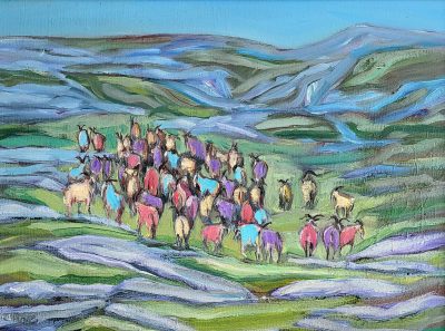 Burren Goats
